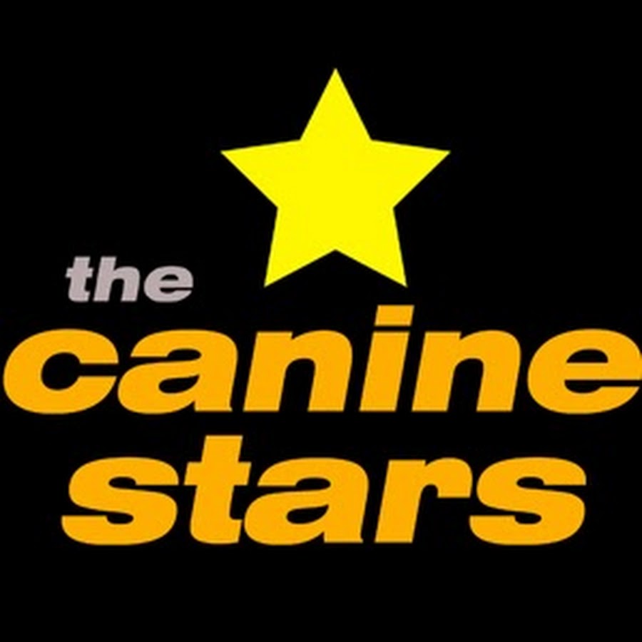 The Canine Stars YouTube 频道头像