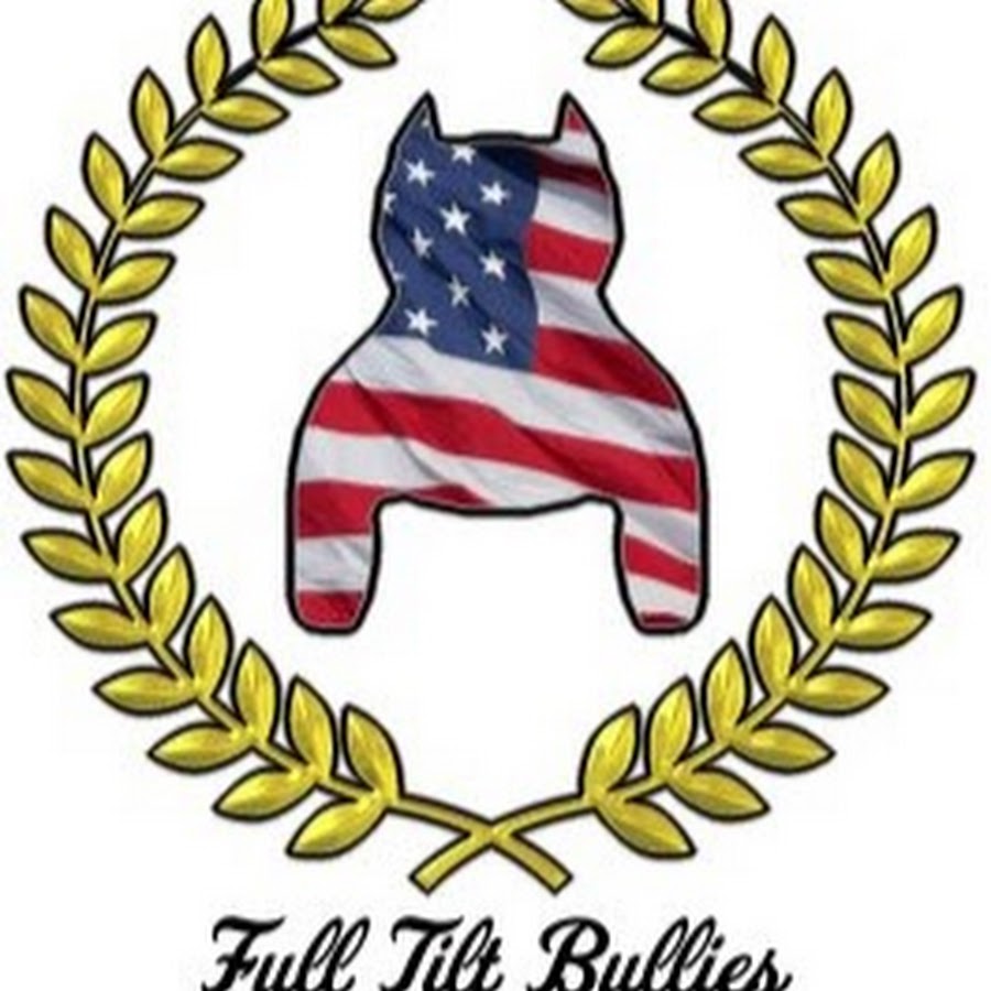 FullTilt Bullies YouTube kanalı avatarı