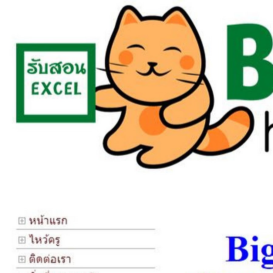 Bigcat9 Excel YouTube 频道头像