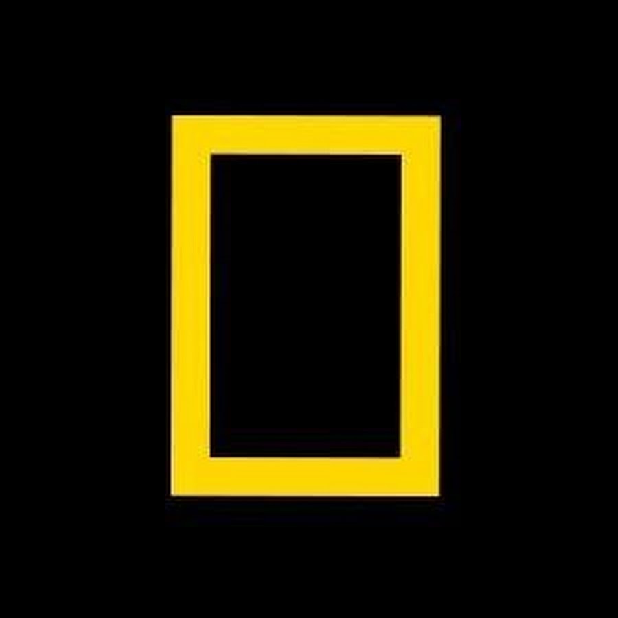 National Geographic Nederland-BelgiÃ« YouTube channel avatar