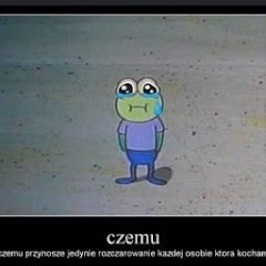 Detektywi MSP