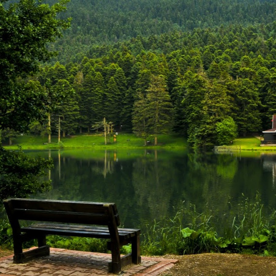 тишина и спокойствие. сад дзен йога будда. озеро рица. спальня в средневековом стиле. природа красиво.