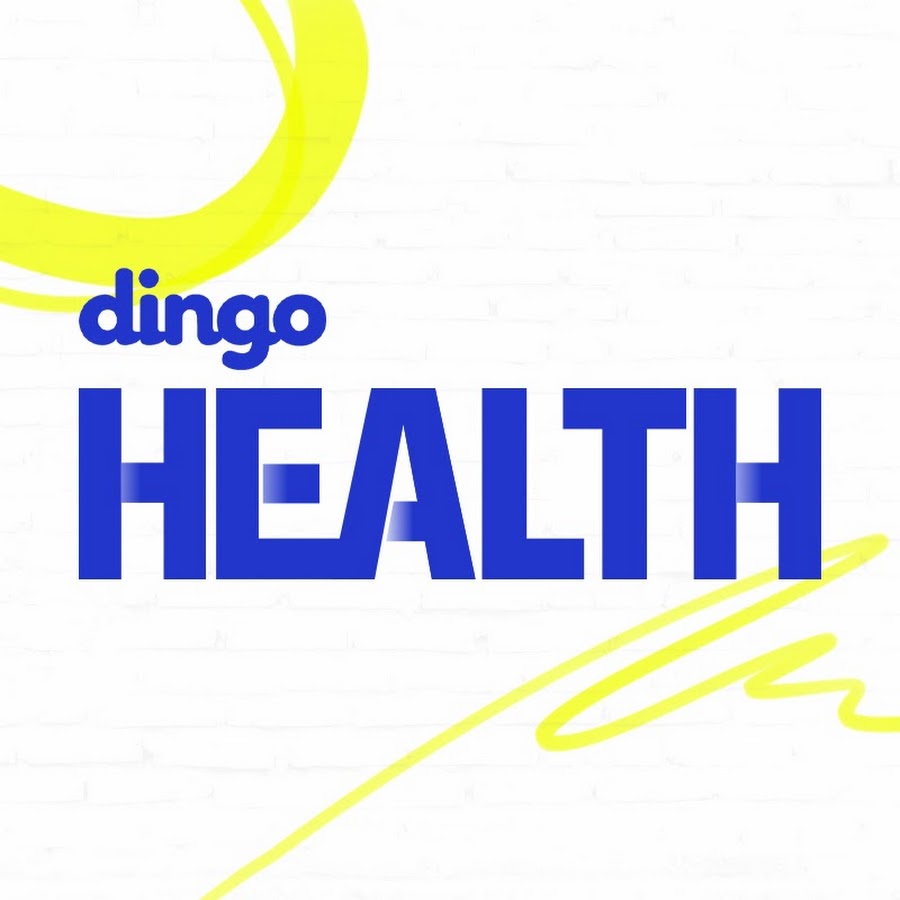 ë”©ê³  í—¬ìŠ¤ / dingo fitness YouTube channel avatar