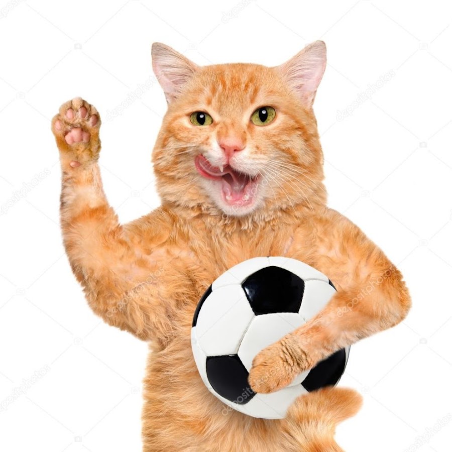 Football Pets Avatar canale YouTube 