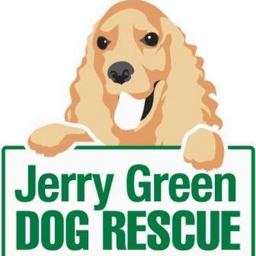 Jerry Green Dog Rescue Avatar de canal de YouTube