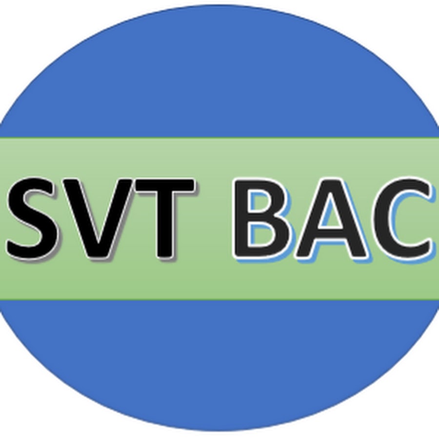 Svt International Rabat2 Youtube