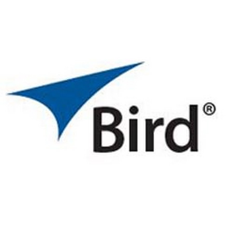 Bird YouTube channel avatar
