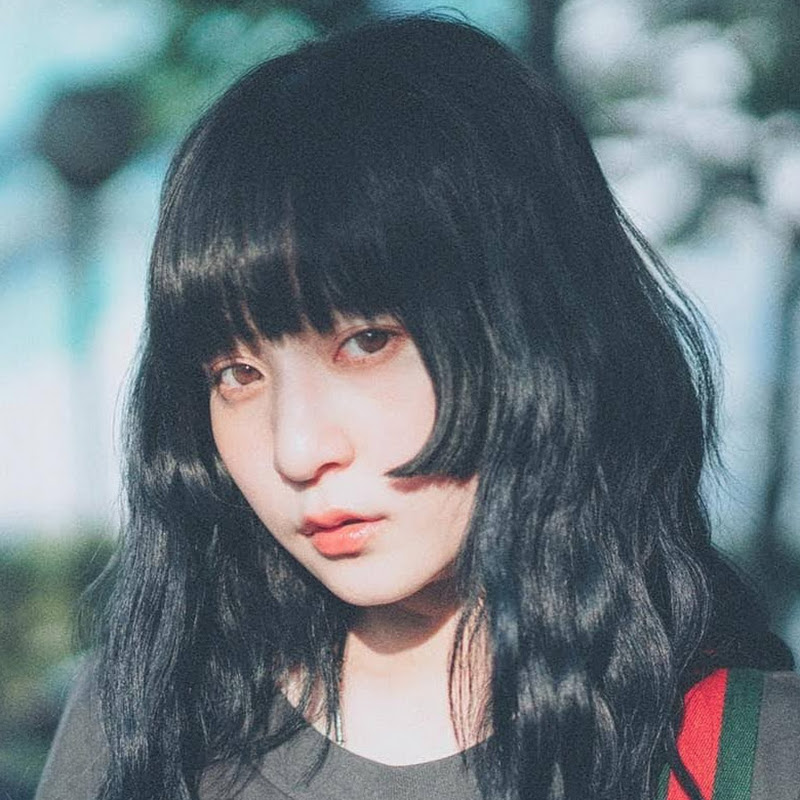 本本 - 網紅的藏寶箱 