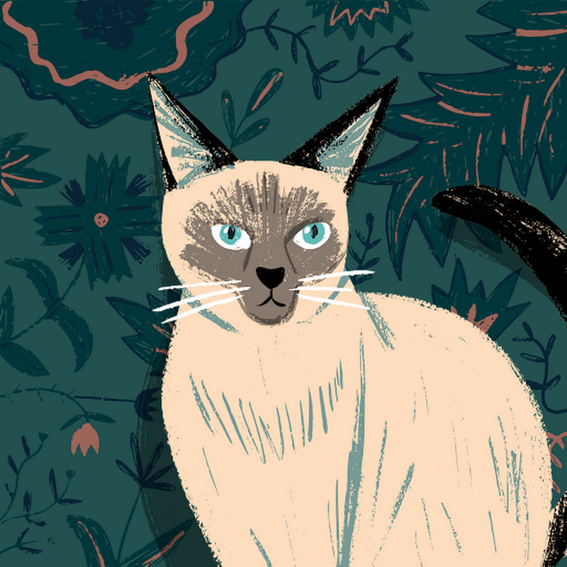 片桐夏向熊 Bear - 網紅的藏寶箱 