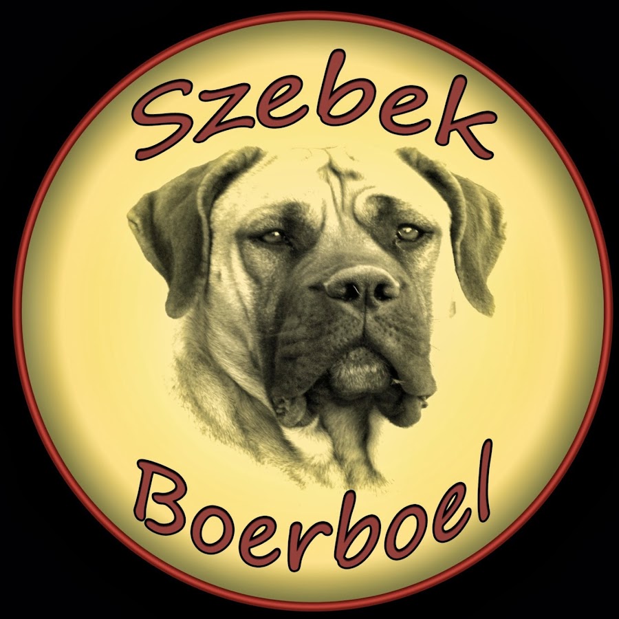 Szebek Boerboel