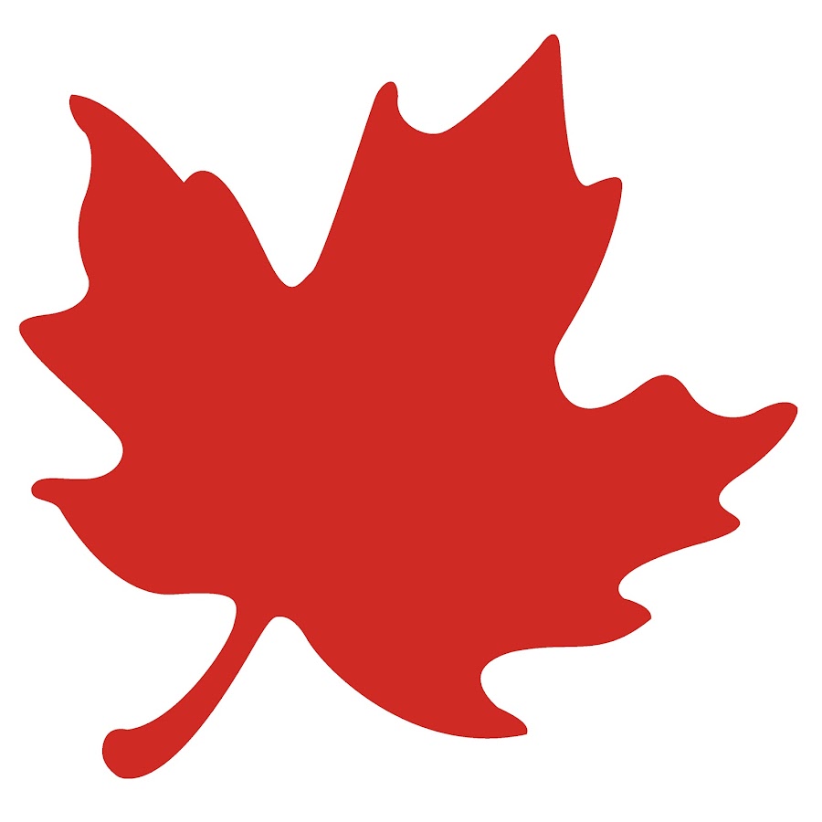 The Globe and Mail YouTube channel avatar
