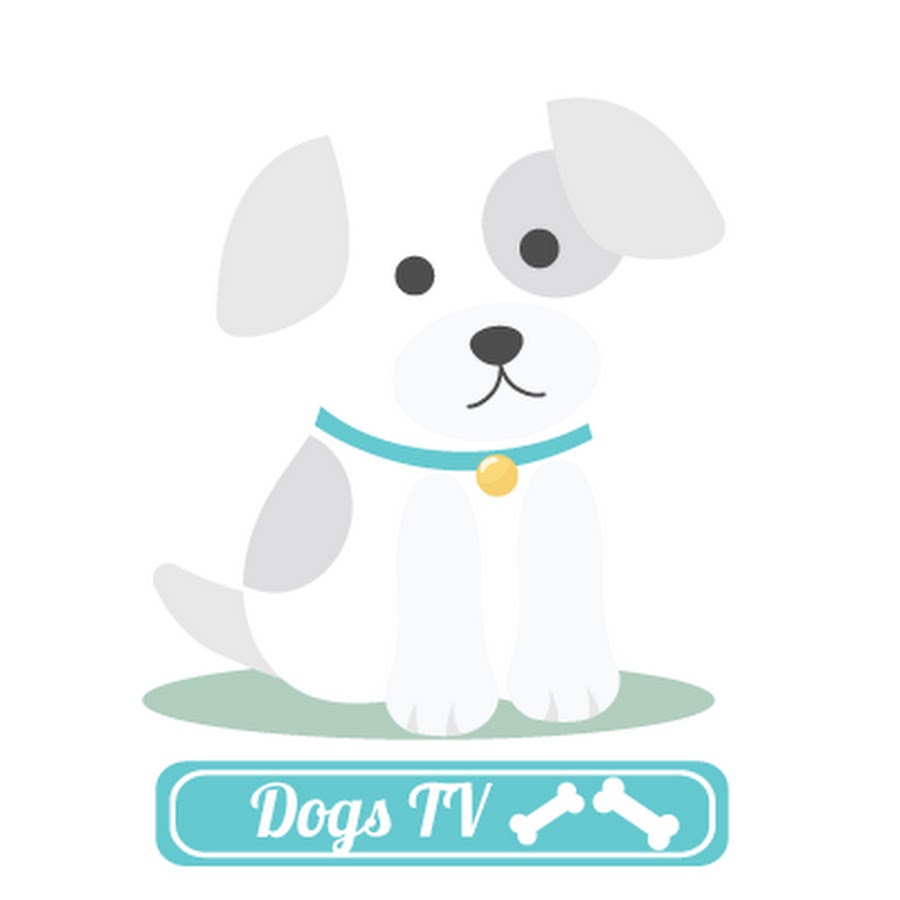 Dogs TV YouTube channel avatar