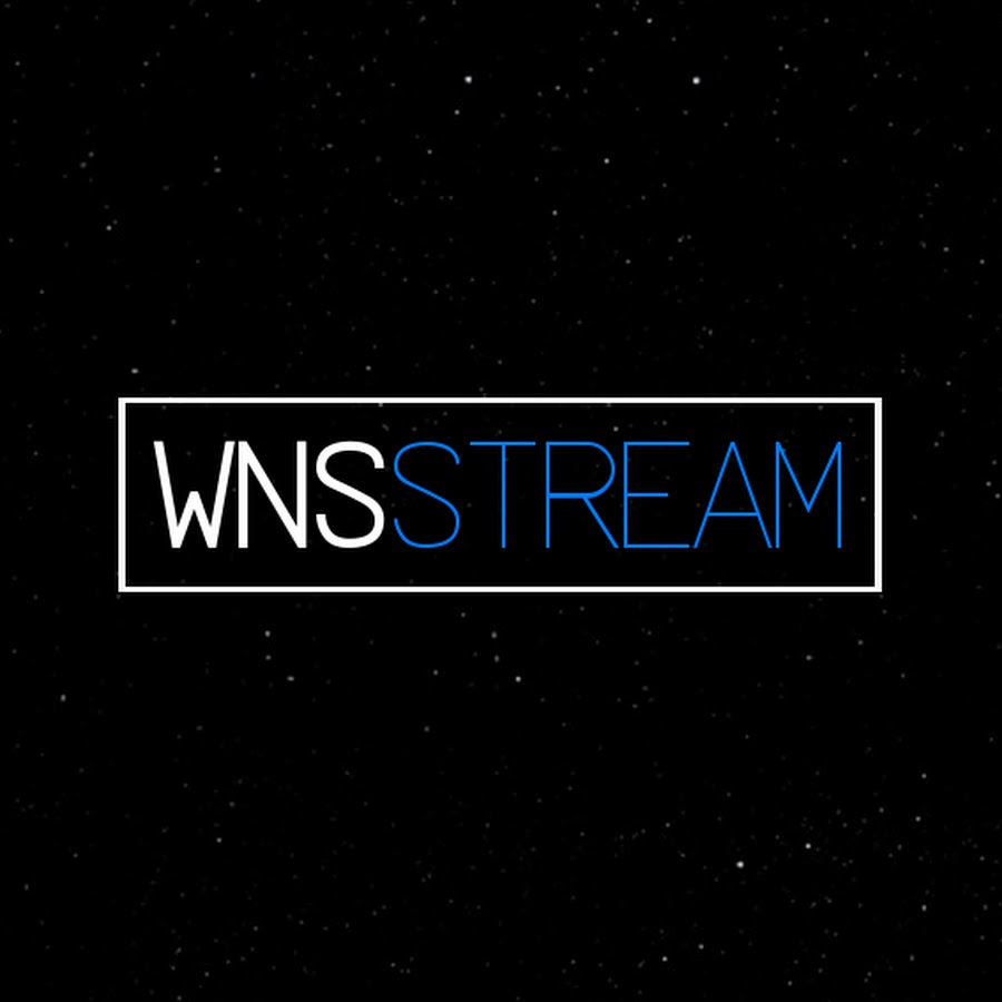 Wns1337 YouTube channel avatar