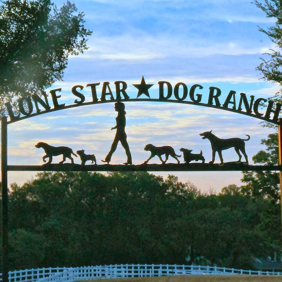 Lone Star Dog Ranch & Dog Ranch Rescue Avatar del canal de YouTube