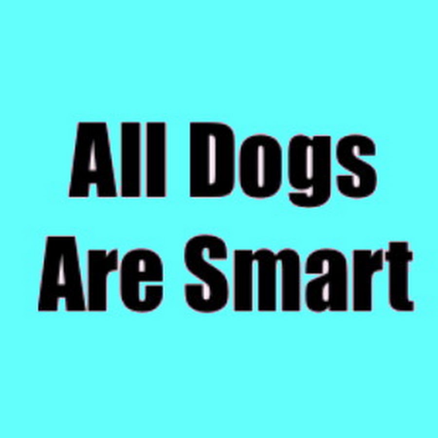 All Dogs Are Smart Avatar de canal de YouTube