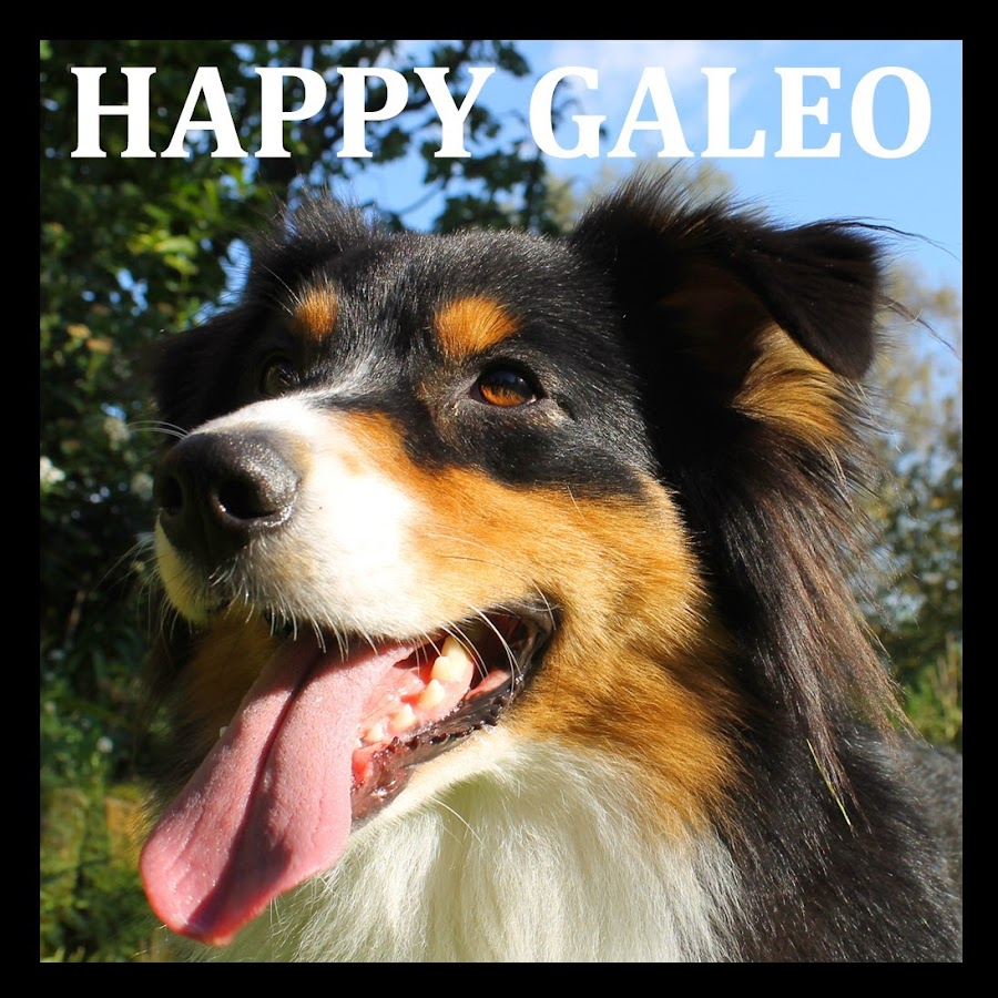 Happy Galeo Avatar del canal de YouTube