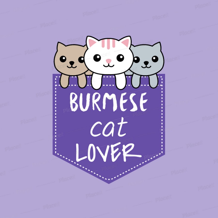 Burmese cat Lover YouTube channel avatar