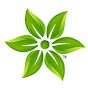 Chlorophyll Media YouTube Profile Photo