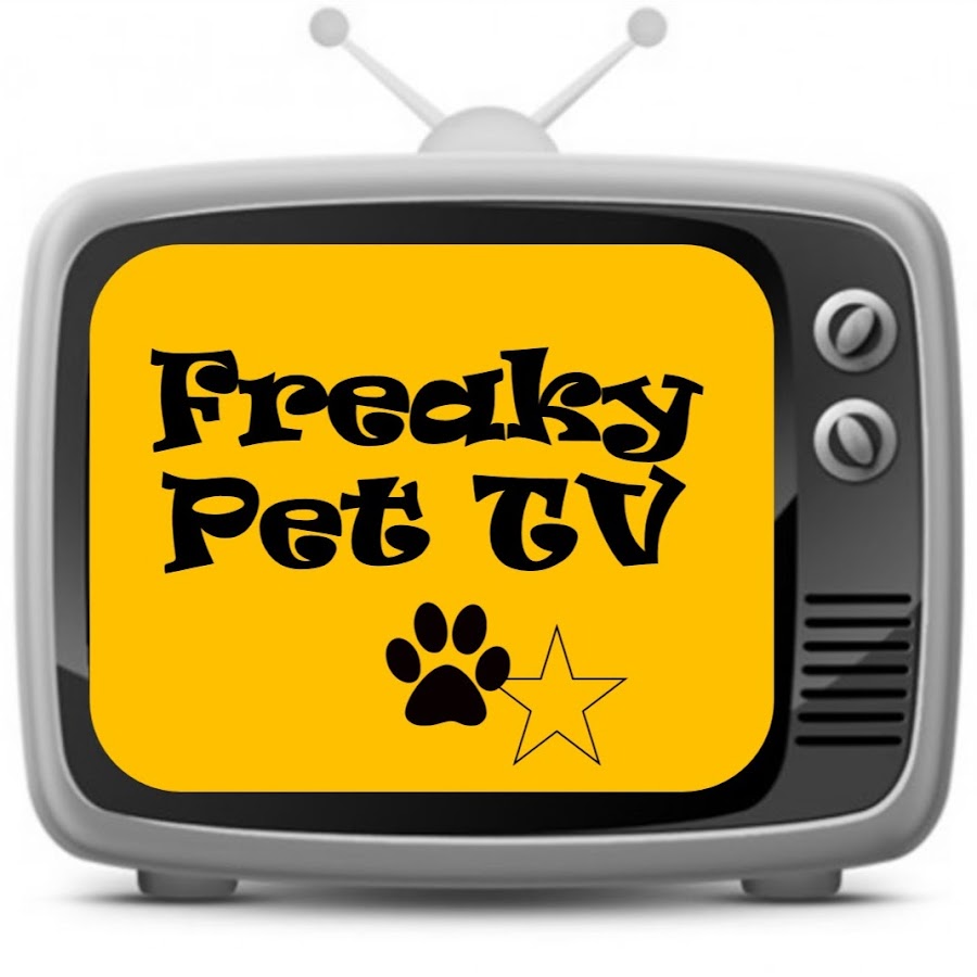 Freaky Pet TV YouTube-Kanal-Avatar