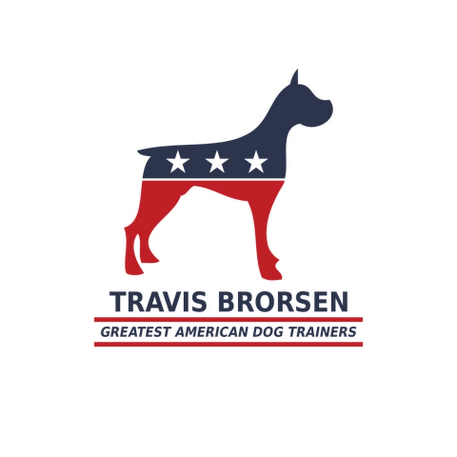 Travis Brorsen