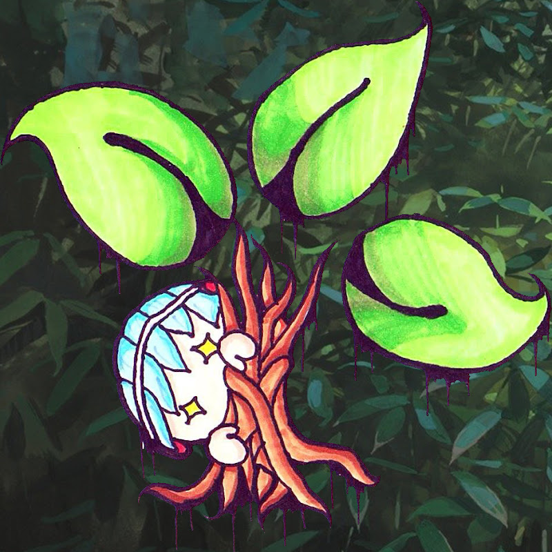 Xel - 網紅的藏寶箱 