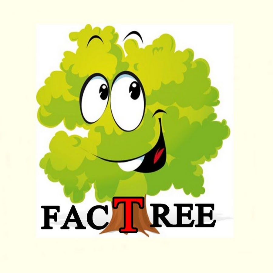 FacTree YouTube channel avatar