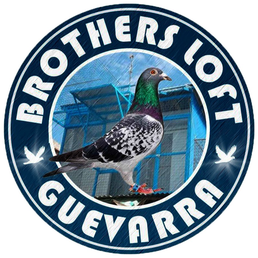 Brothersloft Guevarra YouTube channel avatar
