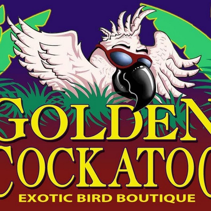 Golden Cockatoo YouTube channel avatar