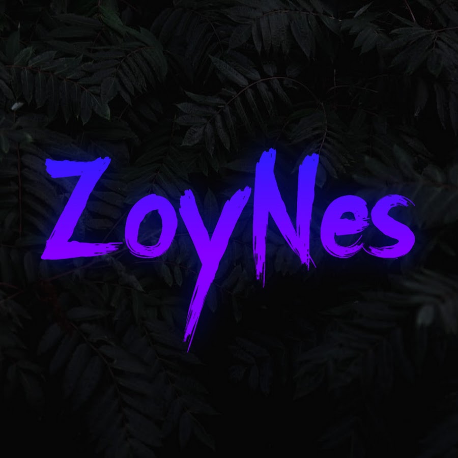 ZoyNes رمز قناة اليوتيوب