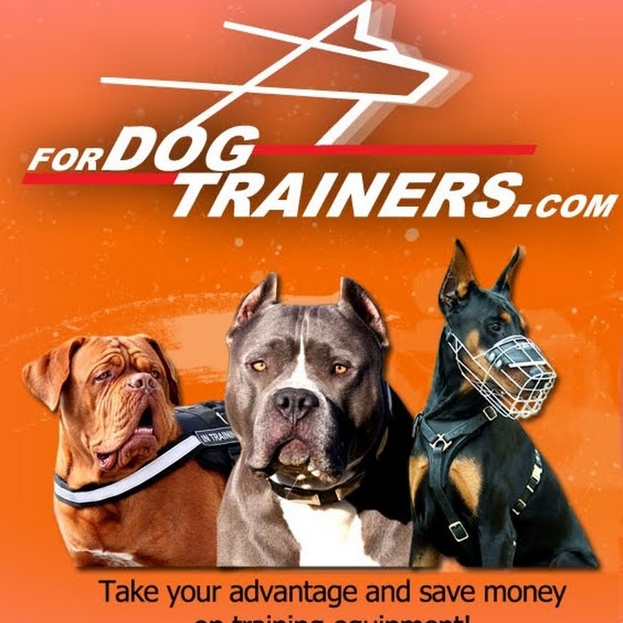 fordogtrainers YouTube channel avatar