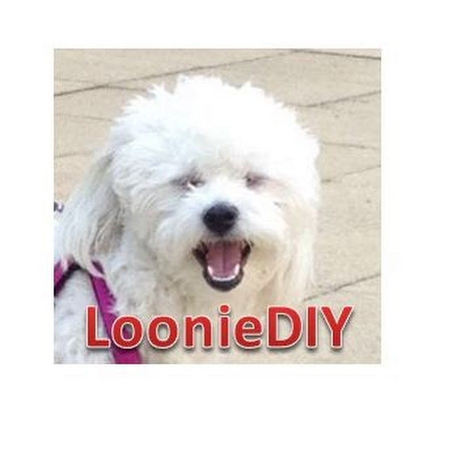 LoonieDIY YouTube channel avatar