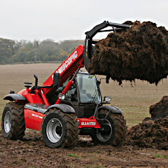 Dominik152002