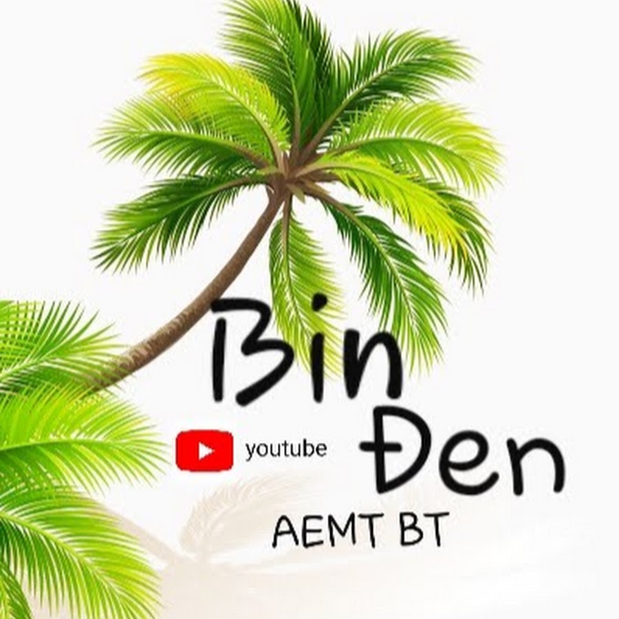 Bin Äen YouTube channel avatar