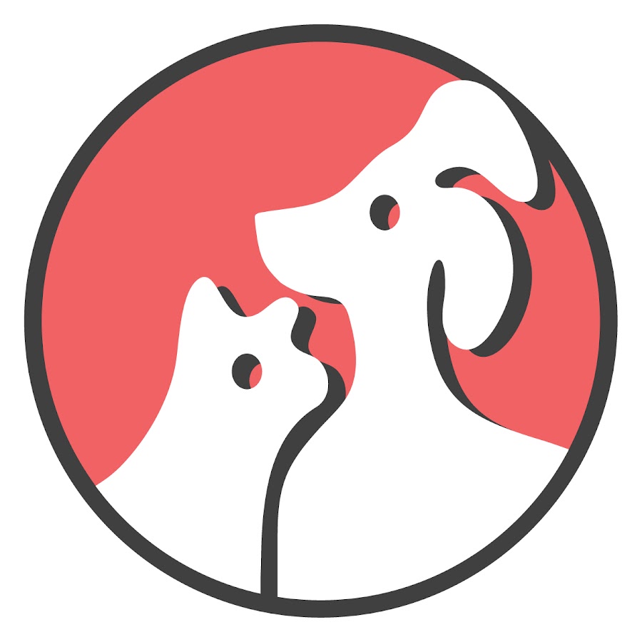 Santa Fe Animal Shelter YouTube channel avatar