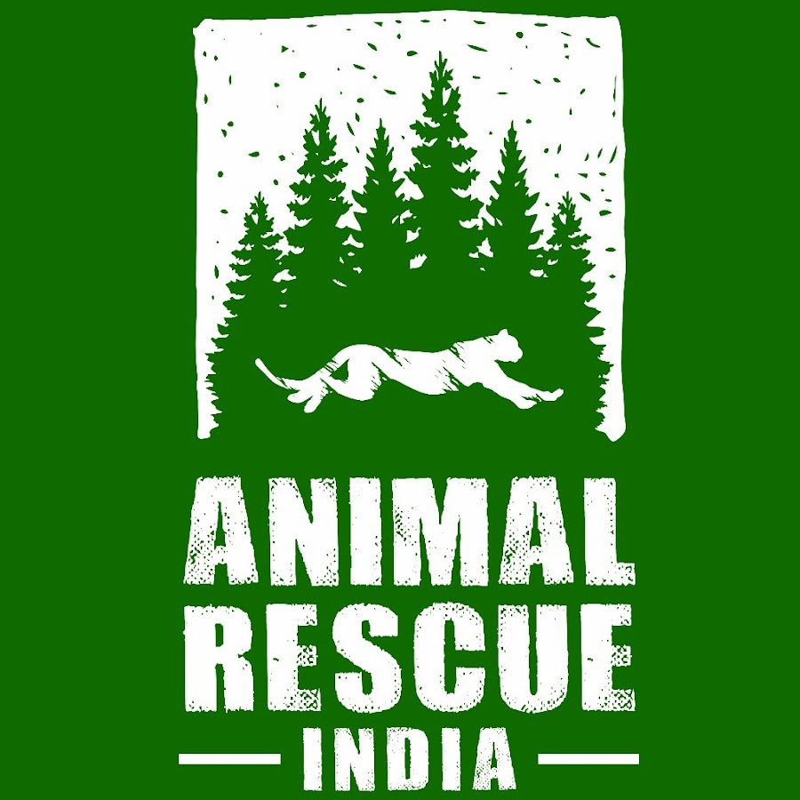 Animal Rescue India Avatar del canal de YouTube