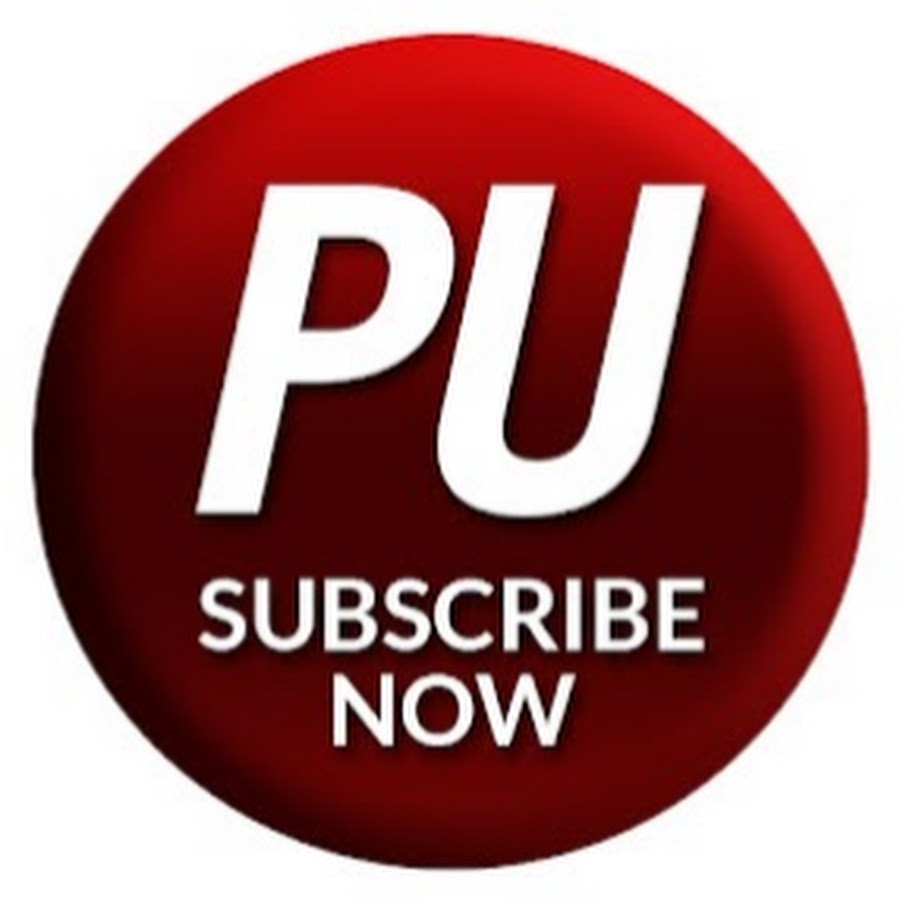 Polymerupdate YouTube channel avatar