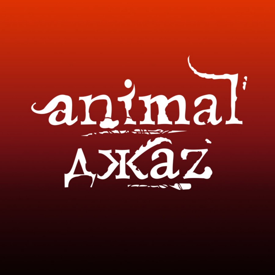 animaljazzband YouTube kanalı avatarı