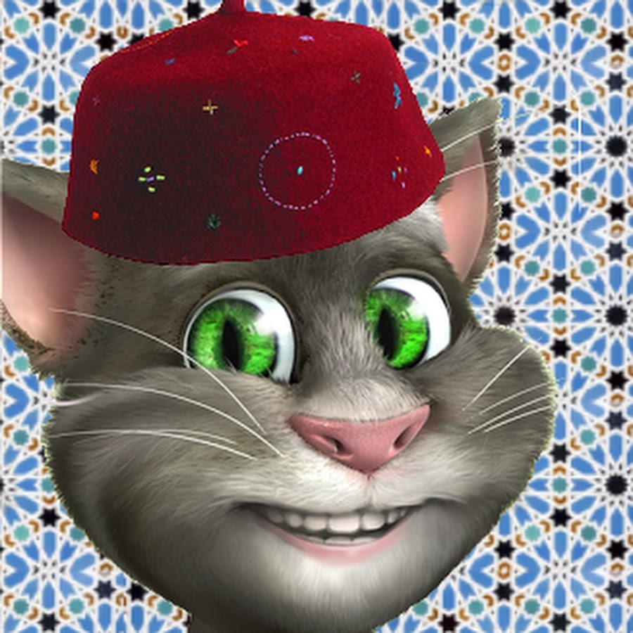 Tom Cat Maroc رمز قناة اليوتيوب
