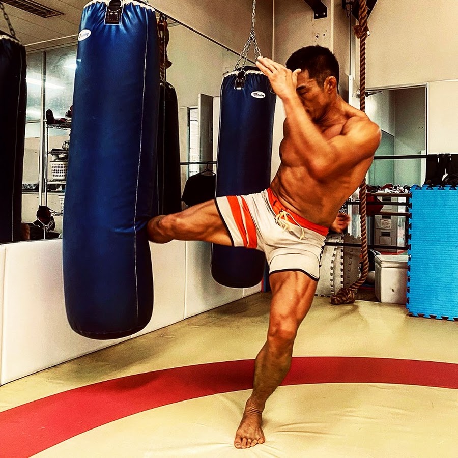 Aki Tube 추성훈 Sexyama 秋山 成勲 Youtube