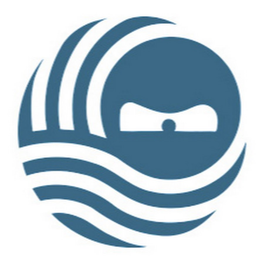 映像ディレクター、wt