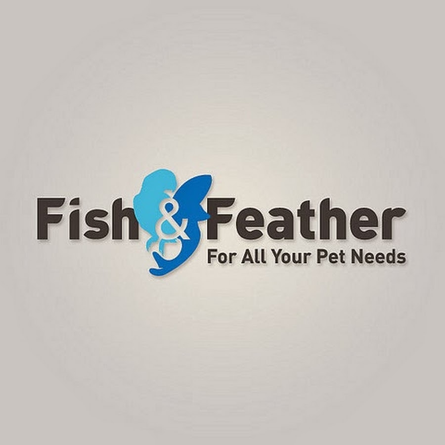 Fishnfeather Kilsyth