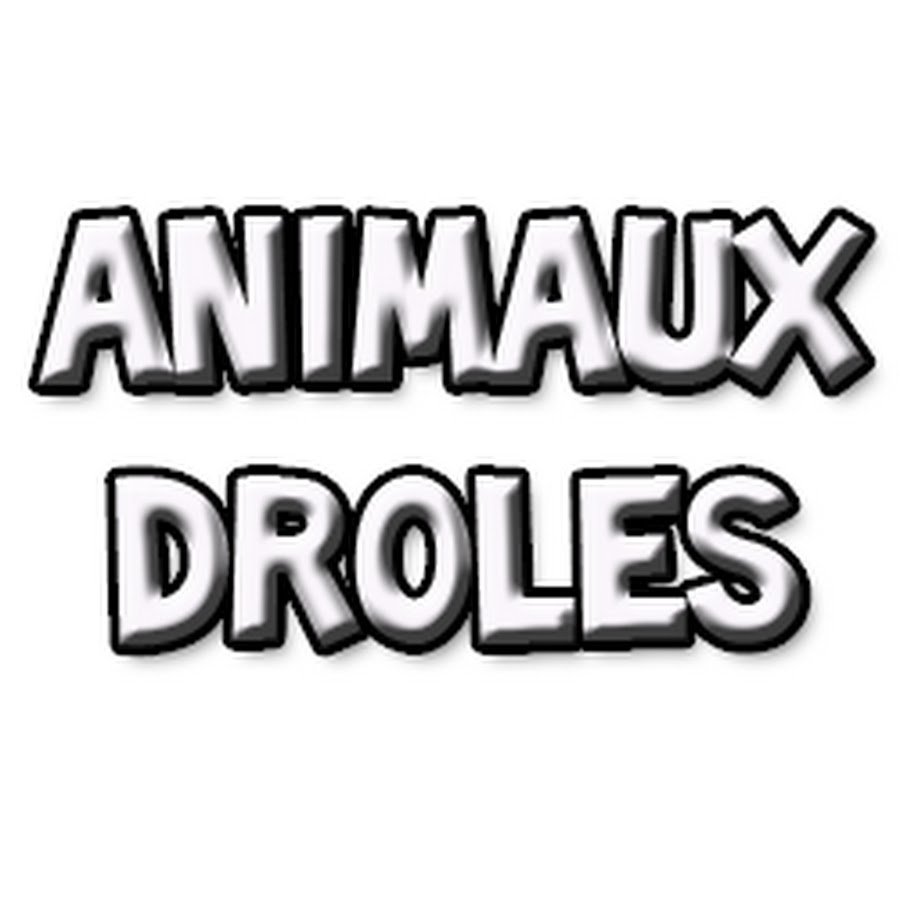Animaux DrÃ´les YouTube 频道头像