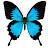 tail swallow