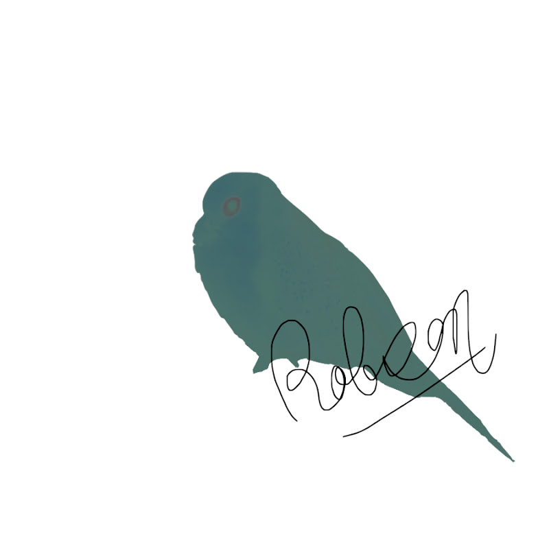 WWRobson - 網紅的藏寶箱 