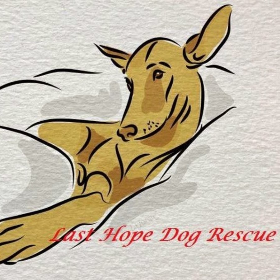 Last Hope Dog Rescue
