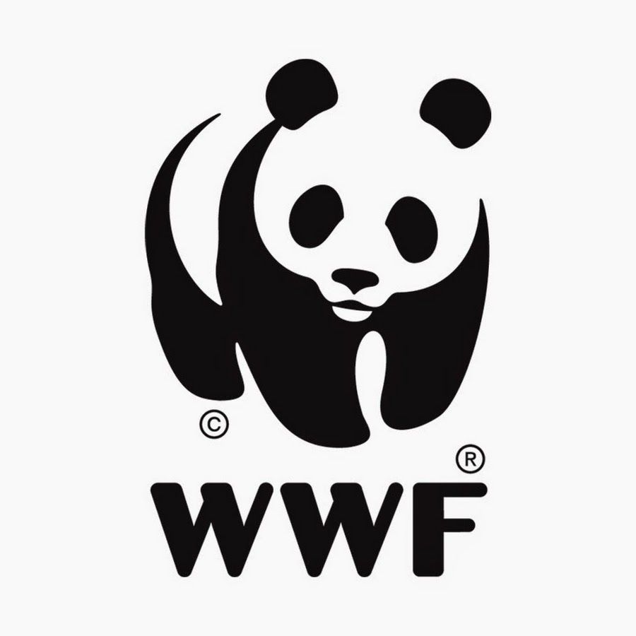 WWF Polska YouTube 频道头像