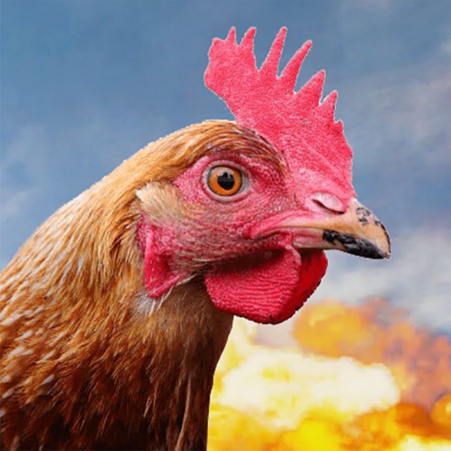 PUBG Chicken Dinners ইউটিউব চ্যানেল অ্যাভাটার