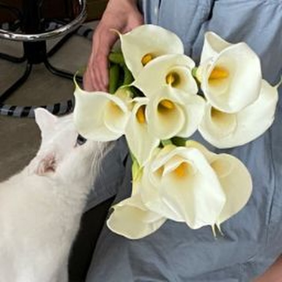 竹田久美子 Youtube