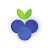 blueberring