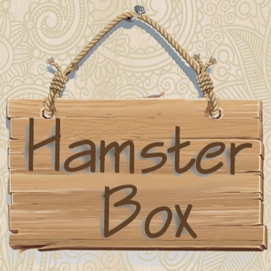 Hamster Box YouTube kanalı avatarı